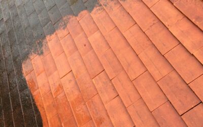 Quand faut-il refaire sa toiture ? Les signes qui ne trompent pas