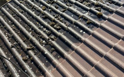 Faut-il nettoyer sa toiture régulièrement ? Les bons gestes d’un artisan couvreur